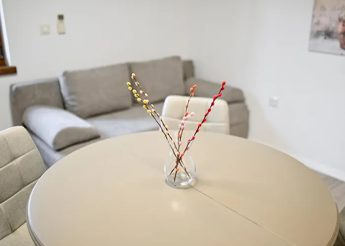 公寓 Tia 扎达尔